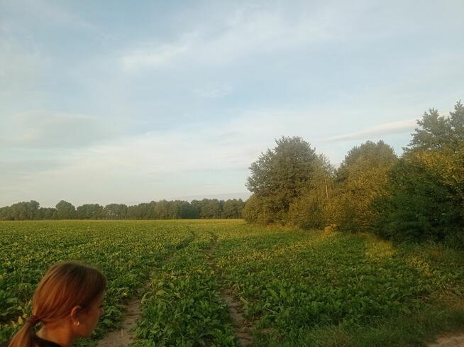 Grunt rolny z linia brzegowa jeziora Kosewskiego