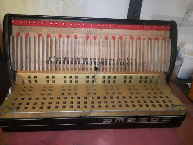 Strojenie i Naprawa Akordeonów w Kuj. Pomorskim