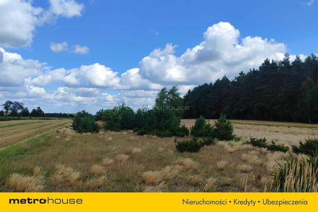 Na sprzedaż działka marzeń pod Skierniewicami