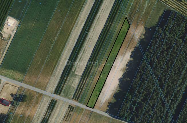 Na sprzedaż działka marzeń pod Skierniewicami