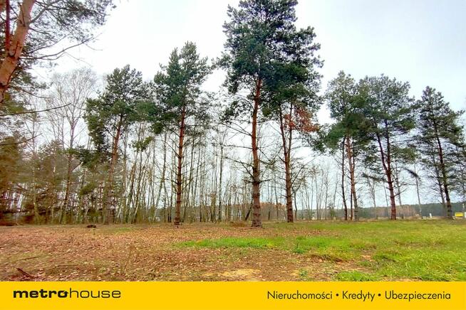 Działka z WZ na sprzedaż, Suliszew k. Skierniewic