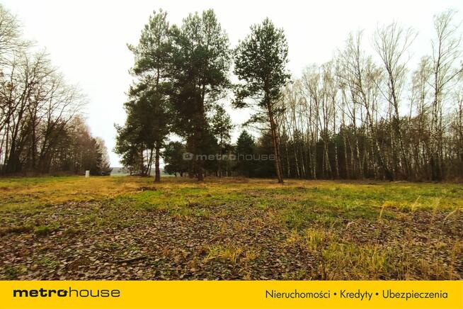 Sprzedam dużą działkę z WZ, Suliszew k.Skierniewic