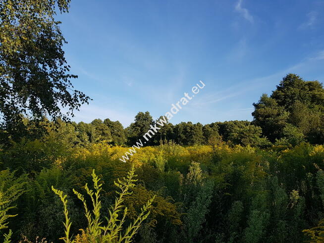 ⭐⭐⭐⭐DZIAŁKA Z POZWOL. NA BUDOWĘ DOM 2 LOKALOWY⭐⭐⭐⭐