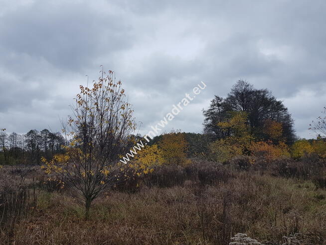 ⭐⭐⭐⭐DZIAŁKA Z POZWOL. NA BUDOWĘ DOM 2 LOKALOWY⭐⭐⭐⭐