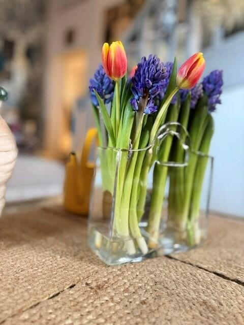 Mieszkanie Szczecin Dąbie