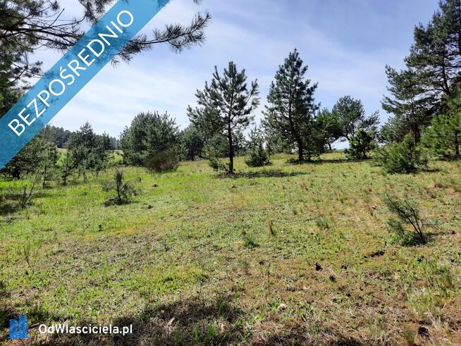 Atrakcyjna działka budowlana nad jeziorem Trzcinno