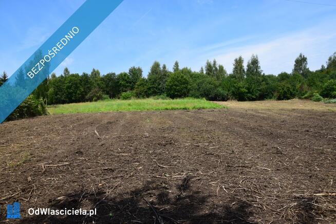 Raciborsko/ Wieliczka, prywatnie,19a ( oraz13 i 14a) południowy stok , cena 11,5tys/ ar