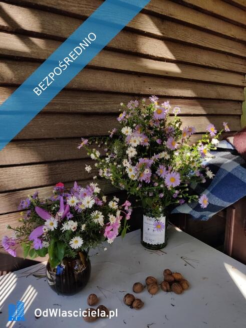 Działka Rekreacyjna ROD 500m2 Paluch 1 Włochy, Warszawa