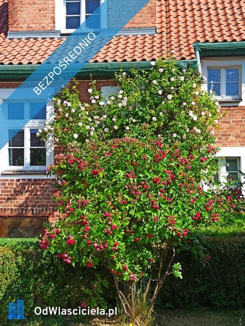 PIĘKNA POSIADŁOŚĆ NAD ZALEWEM WIŚLANYM NAPRZECIW KRYNICY