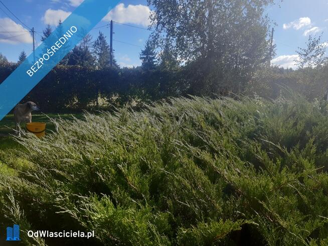 Sprzedam Dom na dużej działce