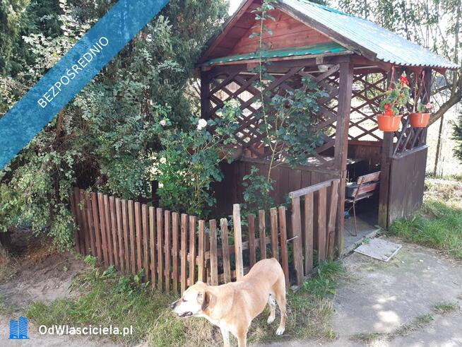 Sprzedam Dom na dużej działce