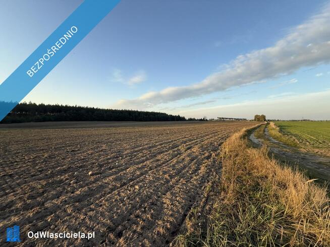 OFERTA SPRZEDAŻY LUB DŁUGOTERMINOWEJ DZIERŻAWY ŻWIROWNI – KOCHOWO II