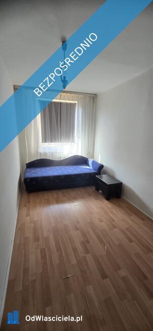 Mieszkanie 3 pokoje borki pawia