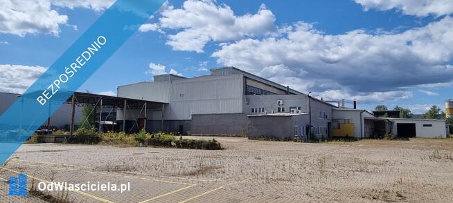 Syndyk sprzeda przedsiębiorstwo w Tychach