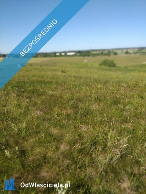 blisko do miasta i do lasu z działki