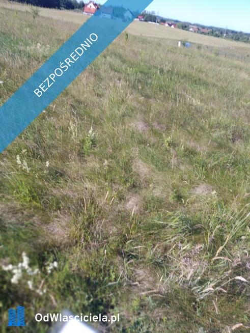 blisko do miasta i do lasu z działki