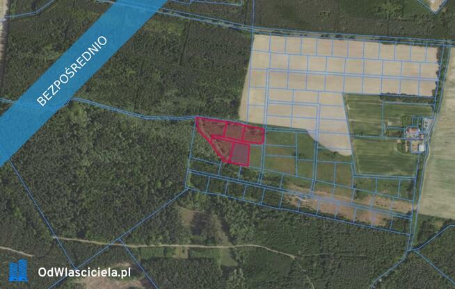 Działki 31/80 i inne w miejscowości Grabowno Wielkie
