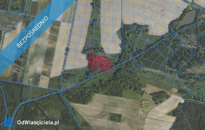 Działki 356/95 i inne w miejscowości Grabowno Wielkie