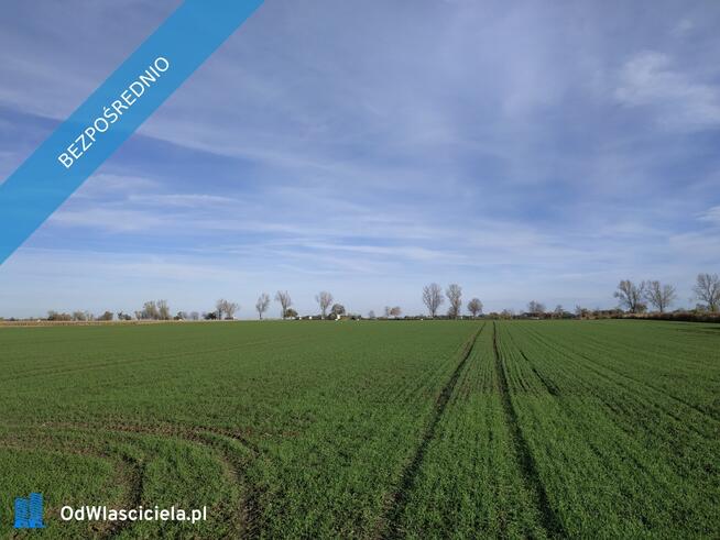 Na sprzedaż sprzedaż nieruchomości gruntowych Wierzbice (woj. dolnośląskie) – 568/3