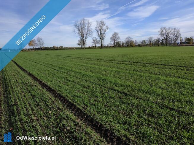 Na sprzedaż sprzedaż nieruchomości gruntowych Wierzbice (woj. dolnośląskie) – 568/3