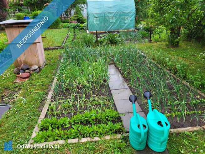 Działka ROD Mickiewicza