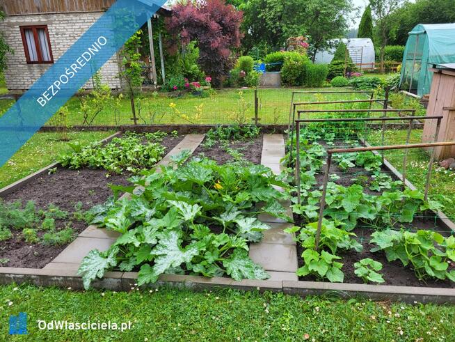 Działka ROD Mickiewicza