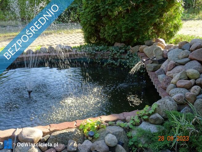 Dom wśród zieleni przy lesie