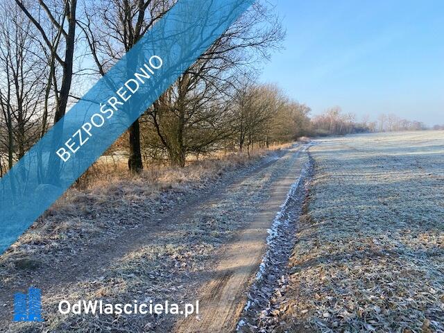 Syndyk sprzeda Nieruchomości w Sownie