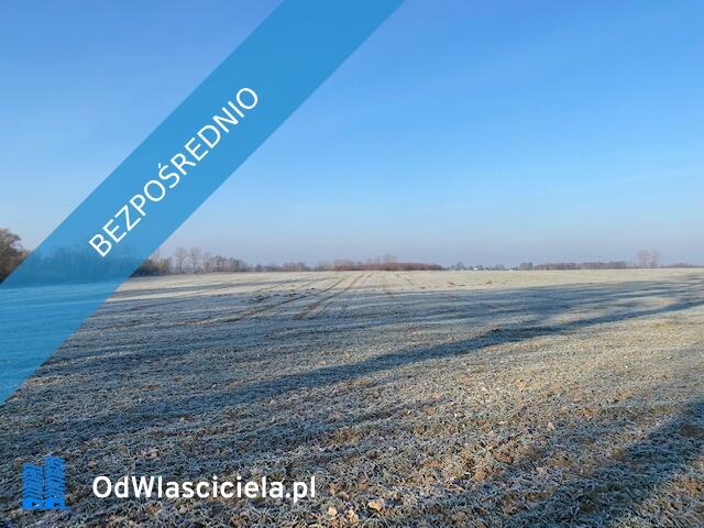 Syndyk sprzeda Nieruchomości w Sownie