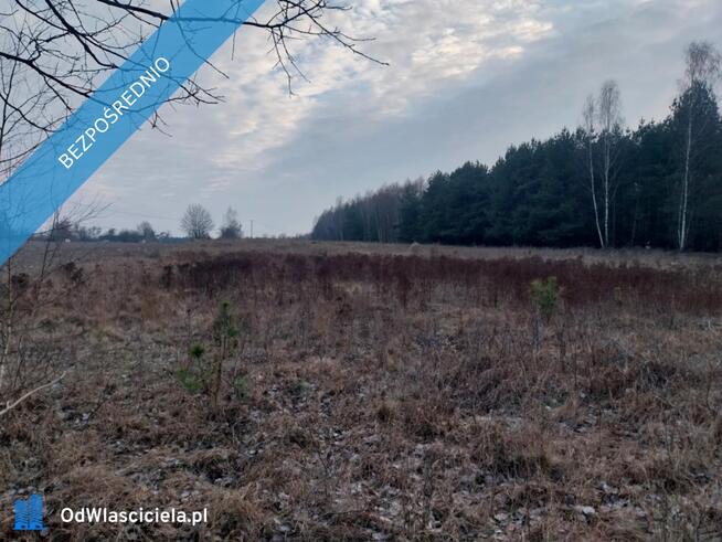 Grunt Rolny na sprzedaż Marysin gm. Kałuszyn