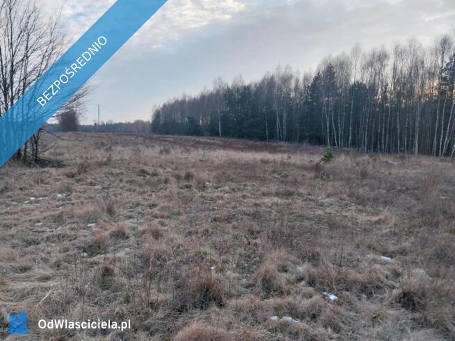 Grunt Rolny na sprzedaż Marysin gm. Kałuszyn