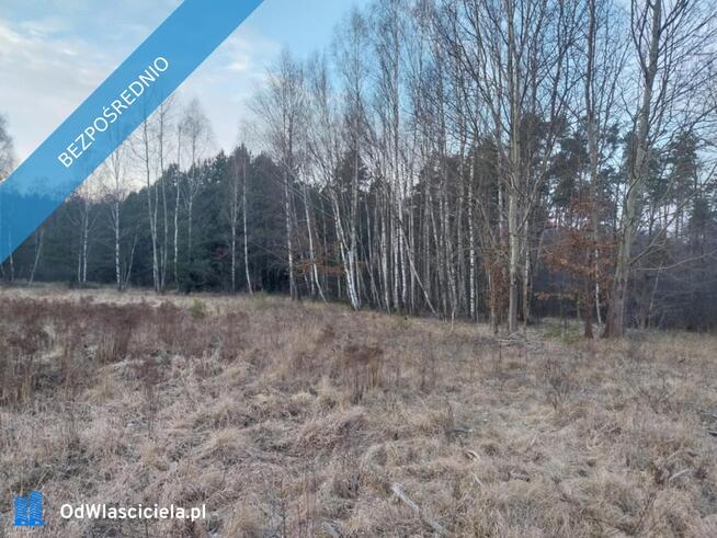 Grunt Rolny na sprzedaż Marysin gm. Kałuszyn