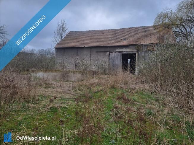 Działka siedliskowa 4200m2 we wsi Niedźwiednik 57-224 w rejonie Ziębic