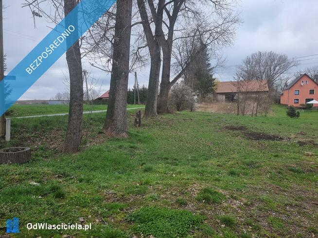 Działka siedliskowa 4200m2 we wsi Niedźwiednik 57-224 w rejonie Ziębic