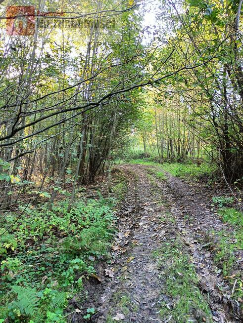 Dom Stronie gm. Stryszów