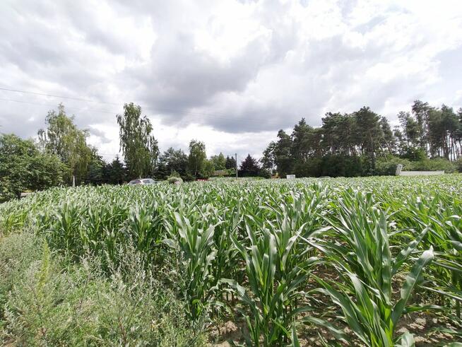 Działka usługowa Wysoczka gm. Buk,