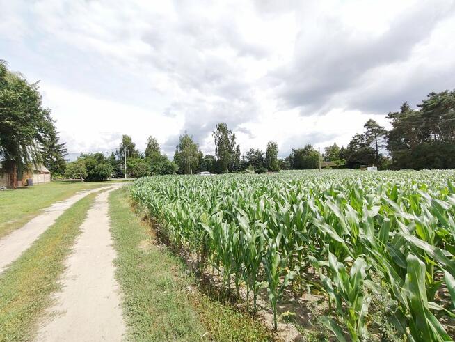 Działka usługowa Wysoczka gm. Buk,