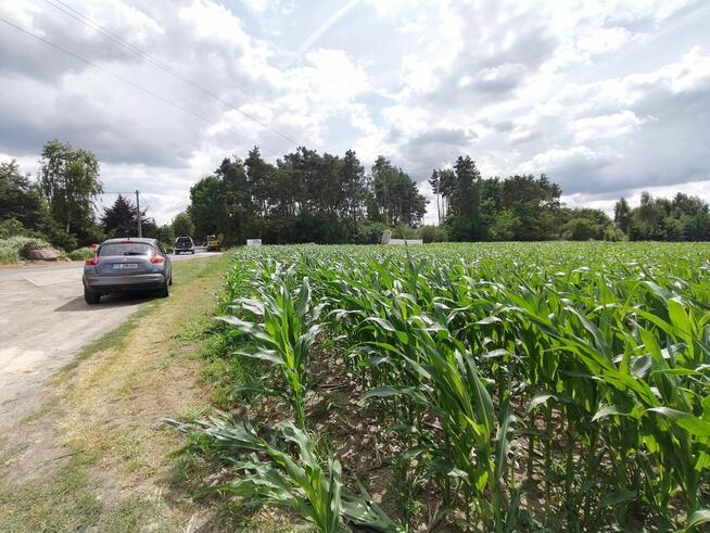 Działka usługowa Wysoczka gm. Buk,