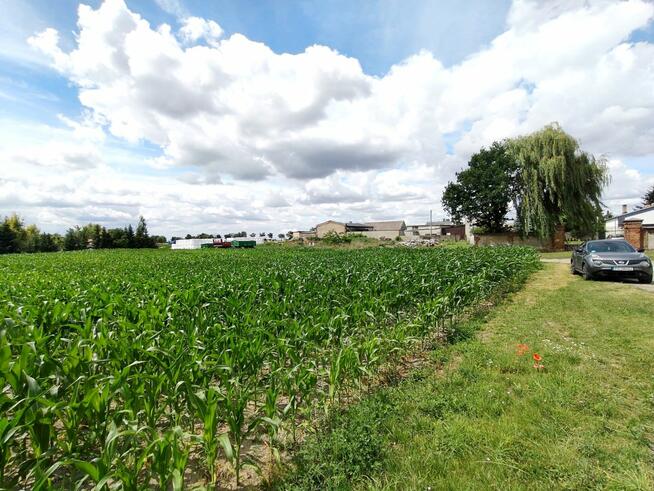 Działka usługowa Wysoczka gm. Buk,