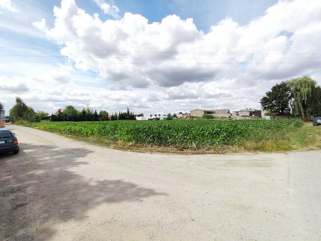 Działka usługowa Wysoczka gm. Buk,