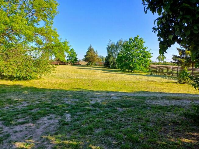 Działka inwestycyjna Młodasko gm. Kaźmierz, Kaźmierska