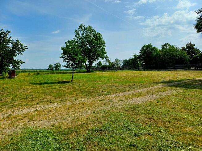 Działka inwestycyjna Młodasko gm. Kaźmierz, Kaźmierska