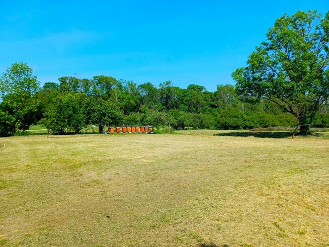 Działka inwestycyjna Młodasko gm. Kaźmierz, Kaźmierska