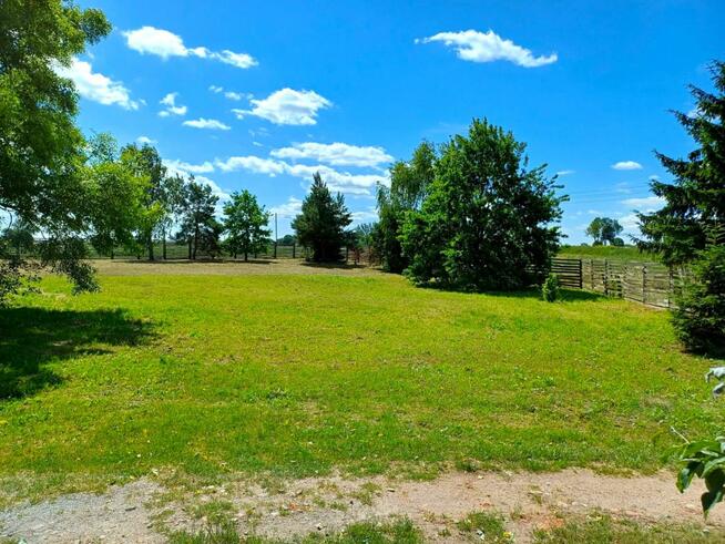 Działka inwestycyjna Młodasko gm. Kaźmierz, Kaźmierska