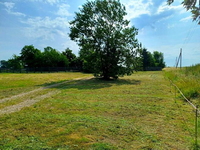 Działka inwestycyjna Młodasko gm. Kaźmierz, Kaźmierska