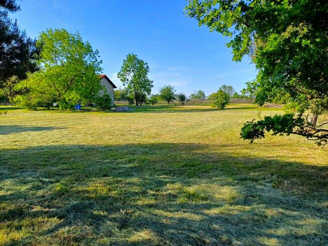 Działka inwestycyjna Młodasko gm. Kaźmierz, Kaźmierska