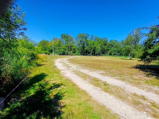 Działka inwestycyjna Młodasko gm. Kaźmierz, Kaźmierska