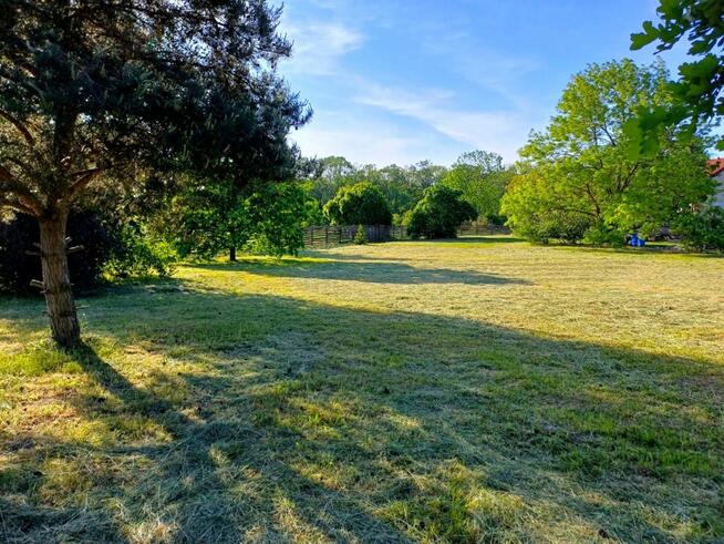 Działka inwestycyjna Młodasko gm. Kaźmierz, Kaźmierska