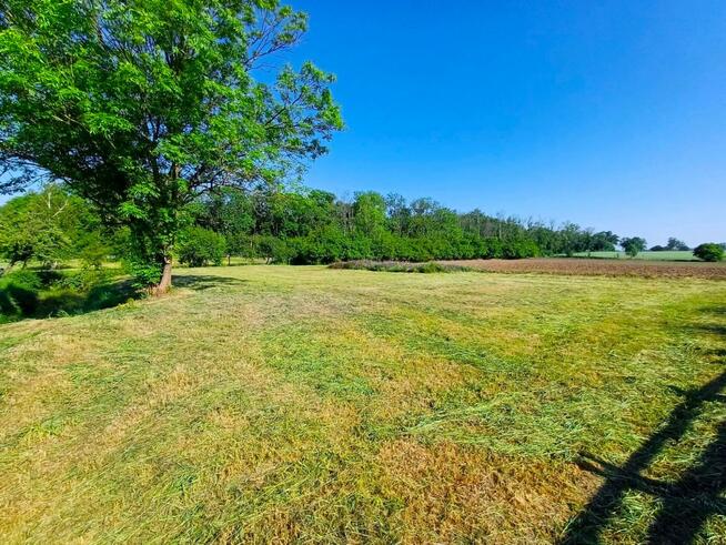 Działka inwestycyjna Młodasko gm. Kaźmierz, Kaźmierska