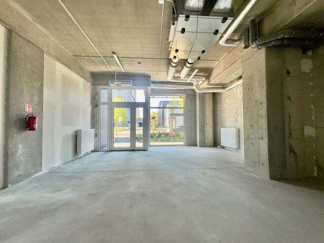 Lokal użytkowy Wrocław Stare Miasto, Stare Miasto, Braniborska